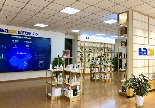 济南创新体制机制激发改革活力加速高质量发展